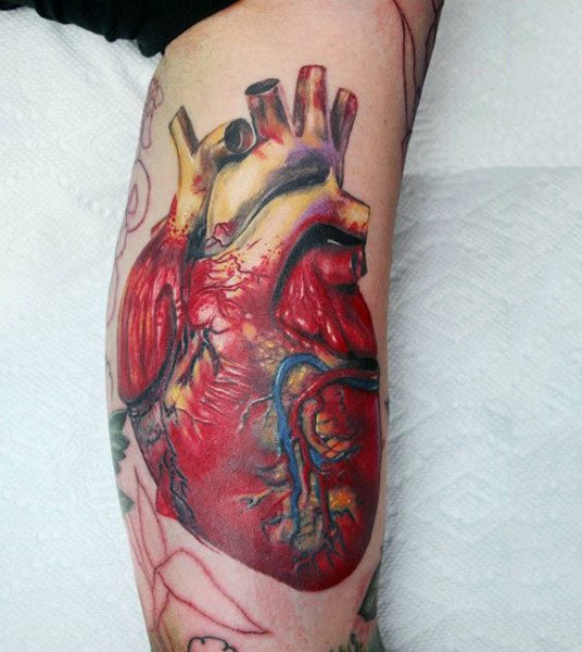 90 anatomische Herz-Tätowierungs-Entwürfe für Männer - Blut pumpende Tinte  