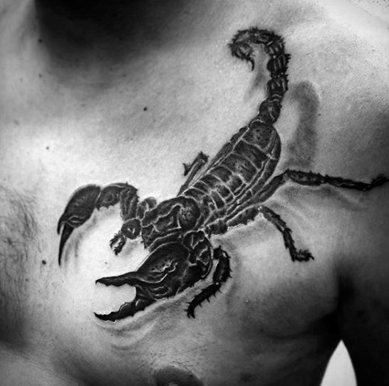 60 Skorpion Tattoo Designs für Männer - Ideen, die sting  