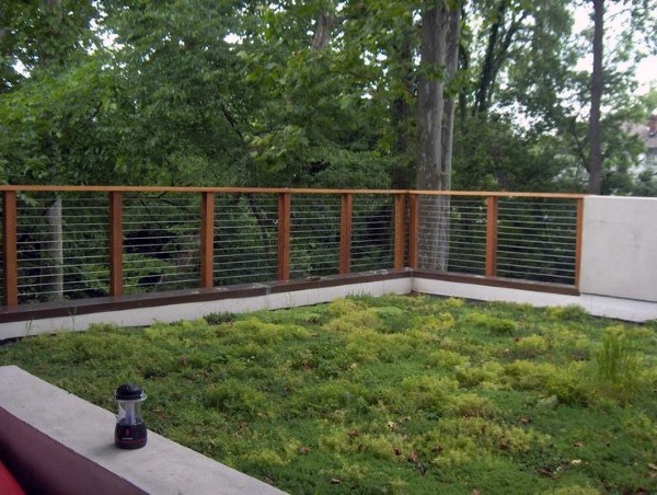 Top 50 besten Backyard Fence Ideen - einzigartige Privatsphäre Designs  