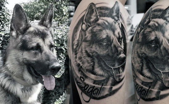 30 Deutscher Schäferhund Tattoo Designs für Männer - Hund Tinte Ideen  