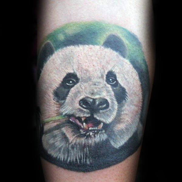 100 Panda Bär Tattoo Designs für Männer - Manly Ink Ideen  