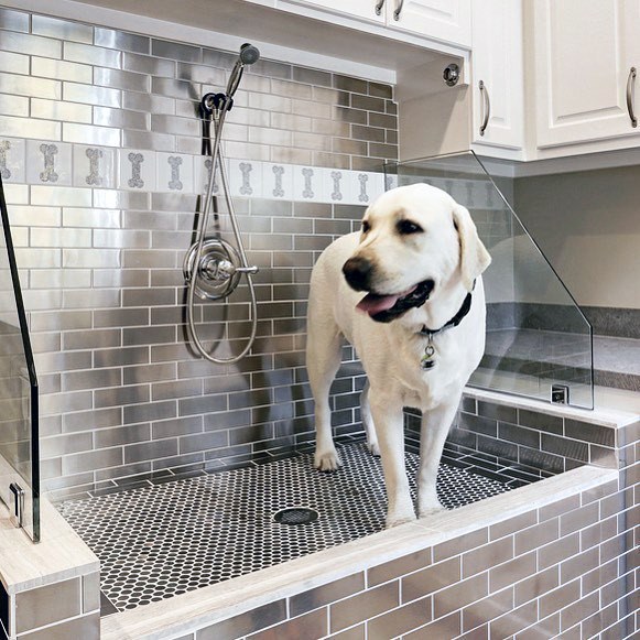 Top 60 besten Home Dog Wash Station Ideen - Hund Dusche Designs  
