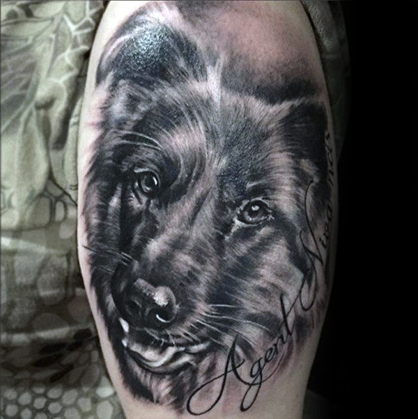 30 Deutscher Schäferhund Tattoo Designs für Männer - Hund Tinte Ideen  