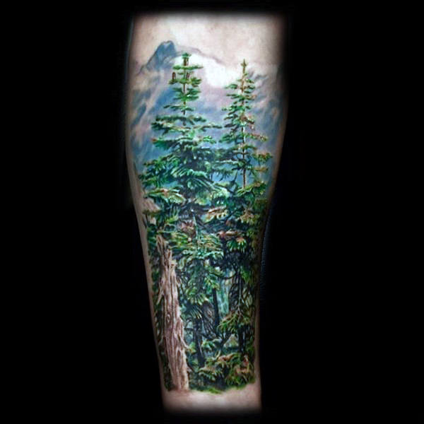 100 Natur Tattoos für Männer - Deep Great Outdoor Designs  