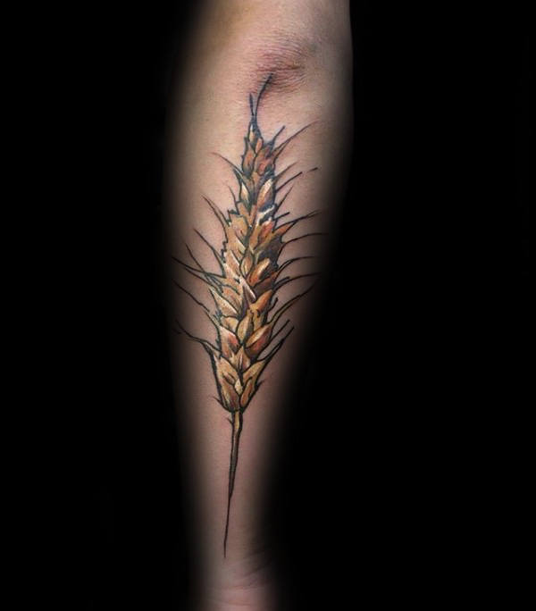 50 Weizen Tattoo Designs für Männer - Cool Crop Ink Ideen  