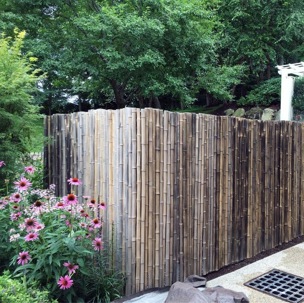 Top 50 besten Backyard Fence Ideen - einzigartige Privatsphäre Designs  