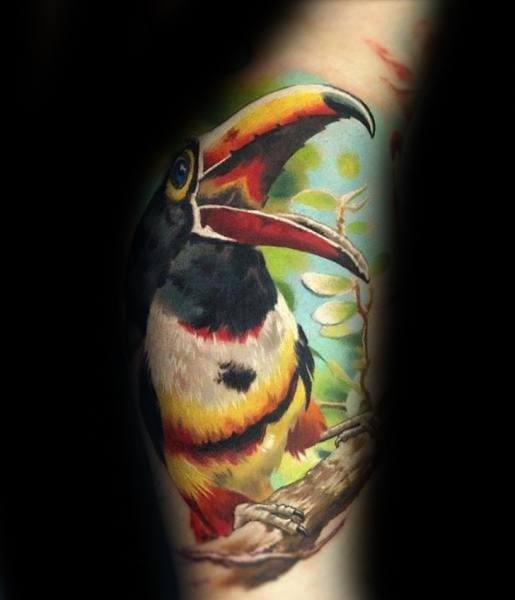 50 Tukan Tattoo Designs für Männer - große Schnabel Vogel Tinte Ideen  