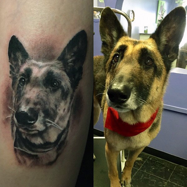 30 Deutscher Schäferhund Tattoo Designs für Männer - Hund Tinte Ideen  