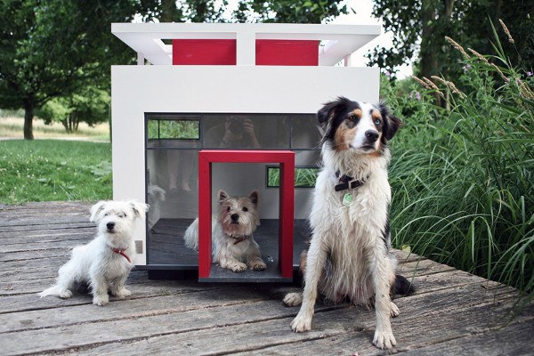 Top 60 Best Dog House Designs - Moderne Haustier Pads  