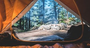 Top 60 Best Camping Essentials Checkliste - Was jeder Camper mitbringen sollte  