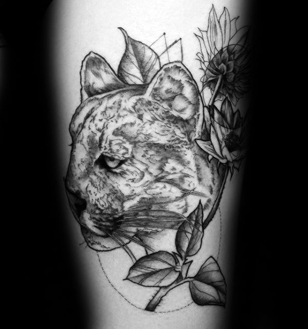 40 Mountain Lion Tattoo Designs für Männer - Tierische Ideen  