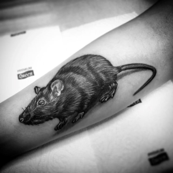 70 Ratten-Tätowierungs-Entwürfe für Männer - männliche Tinten-Ideen  