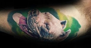 50 Pitbull Tattoo Designs für Männer - Hund Tinte Ideen  