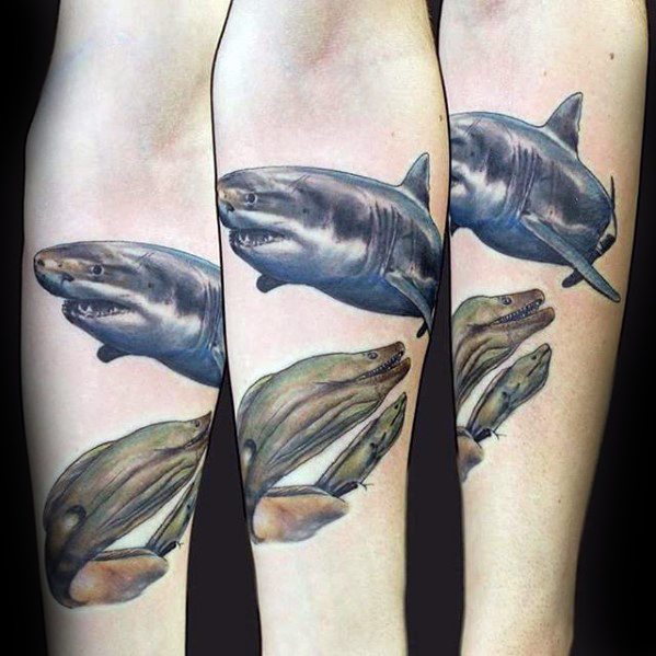 60 Aal Tattoo Designs für Männer - Langgestreckte Fisch Tinte Ideen  