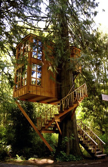 Top 60 besten Baumhaus Ideen - Wooden Wonder Designs  