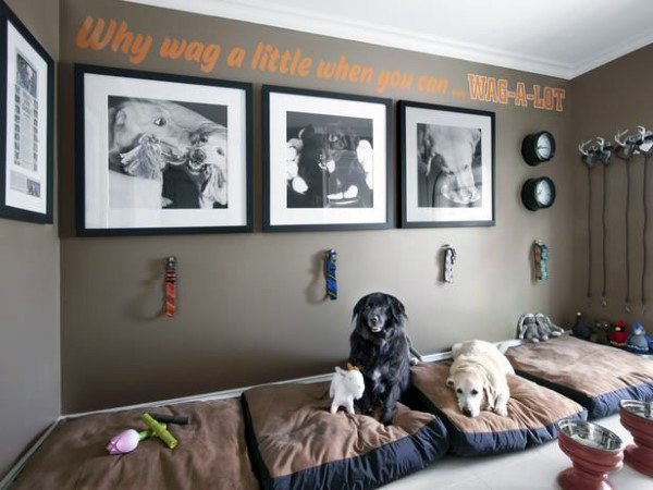 Top 60 besten Hund Zimmer Ideen - Hunde Space Designs  