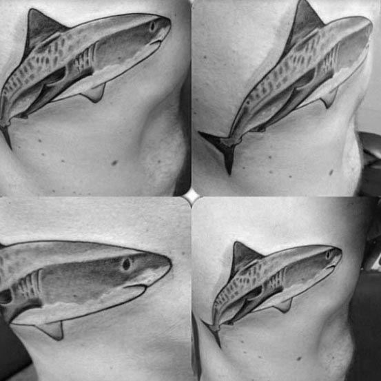 50 Tiger Shark Tattoo Designs für Männer - Sea Tiger Ink Ideen  