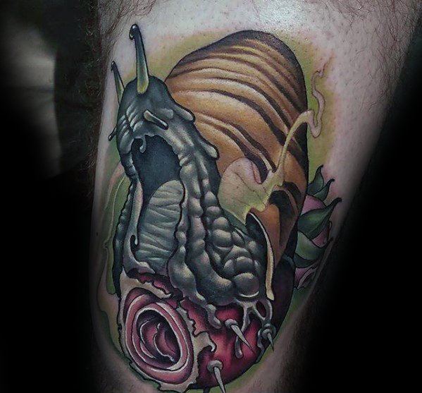 60 Snail Tattoo Designs für Männer - Cool Slithering Ink Ideen  