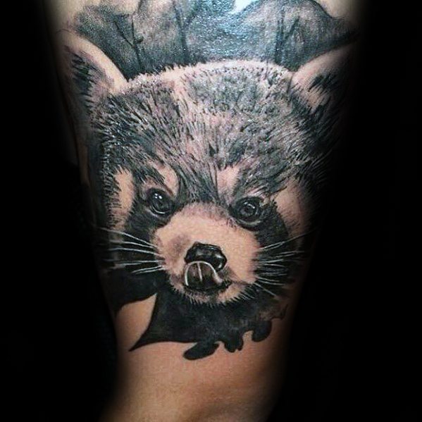 60 Red Panda Tattoo Designs für Männer - Animal Ink Ideen  