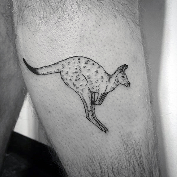 50 Känguru Tattoo Designs für Männer - australische Tier Ideen  