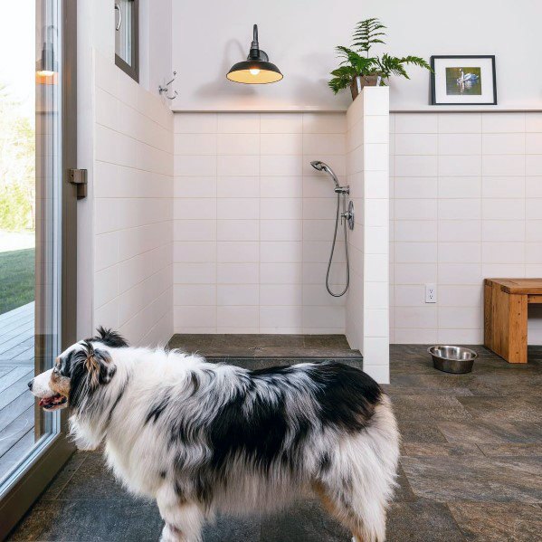 Top 60 besten Home Dog Wash Station Ideen - Hund Dusche Designs  