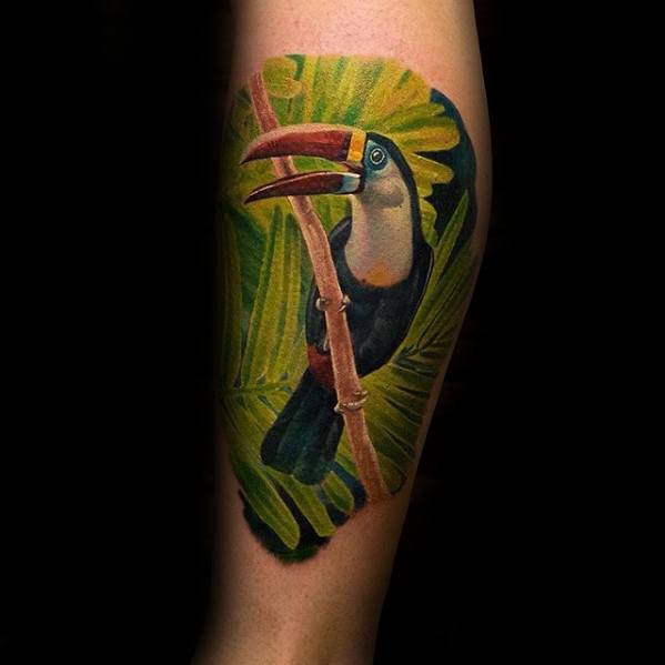 50 Tukan Tattoo Designs für Männer - große Schnabel Vogel Tinte Ideen  