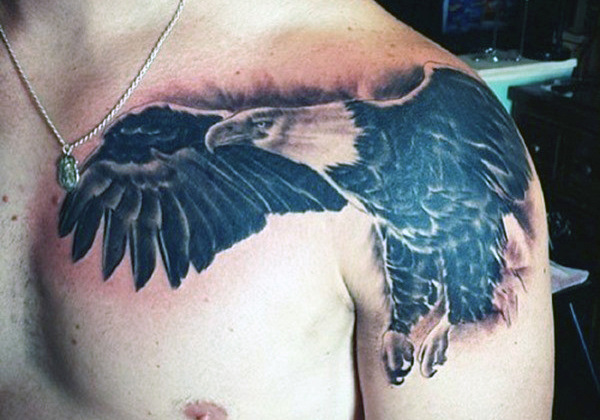 60 Vogel Tattoos für Männer - von Eulen bis Eagles  