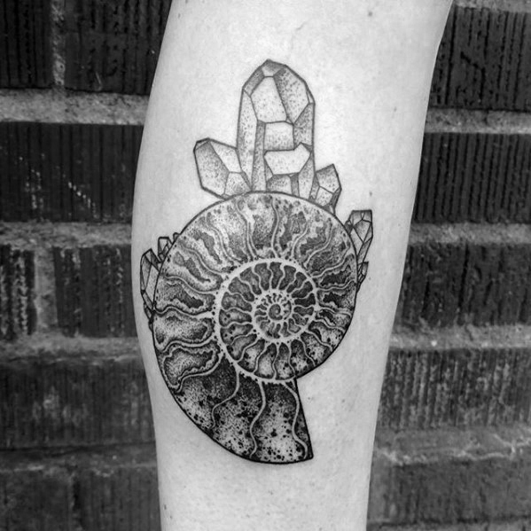 40 Ammoniten Tattoo Designs für Männer - Fossil Ink Ideas  