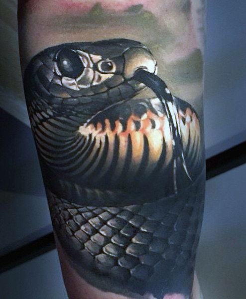 70 Schlange Tattoos für Männer - eine giftige Biss von Design Idee Inspiration  