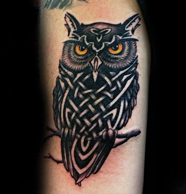 30 keltische Eule Tattoo Designs für Männer - Knot Ink Ideen  