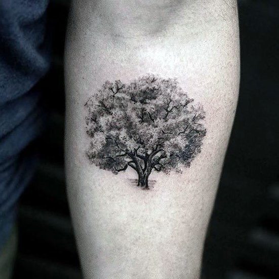 60 coole Baum Tattoos für Männer - Forest Ink Design-Ideen  
