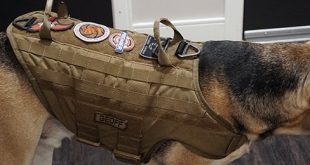 Top 15 der besten taktischen Hundegeschirre - Modular Molle Canine Vests  