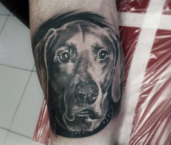 100 Hund Tattoos für Männer - kreative Canine Ink Design-Ideen Teil zwei  