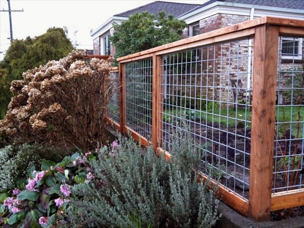 Top 50 besten Backyard Fence Ideen - einzigartige Privatsphäre Designs  