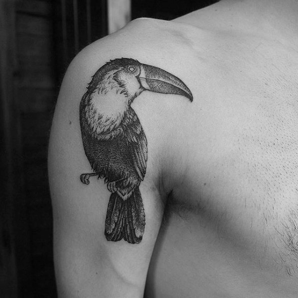 50 Tukan Tattoo Designs für Männer - große Schnabel Vogel Tinte Ideen  