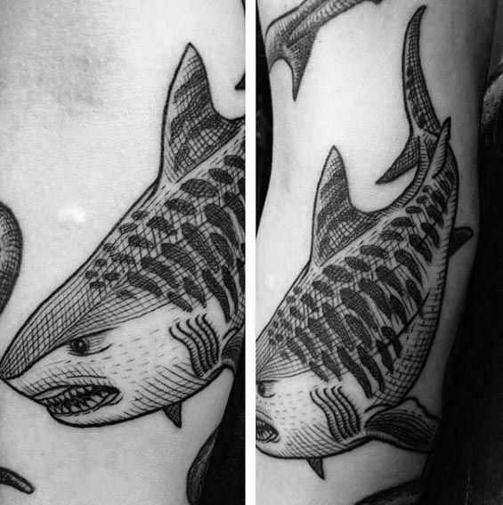 50 Tiger Shark Tattoo Designs für Männer - Sea Tiger Ink Ideen  