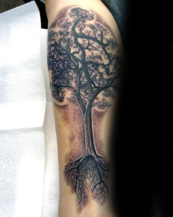 60 Baumwurzeln Tattoo Designs für Männer - Manly Ink Ideen  