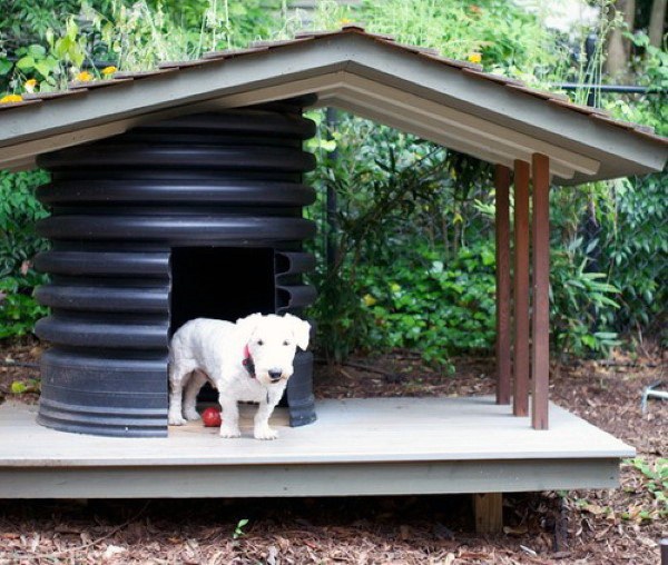 Top 60 Best Dog House Designs - Moderne Haustier Pads  