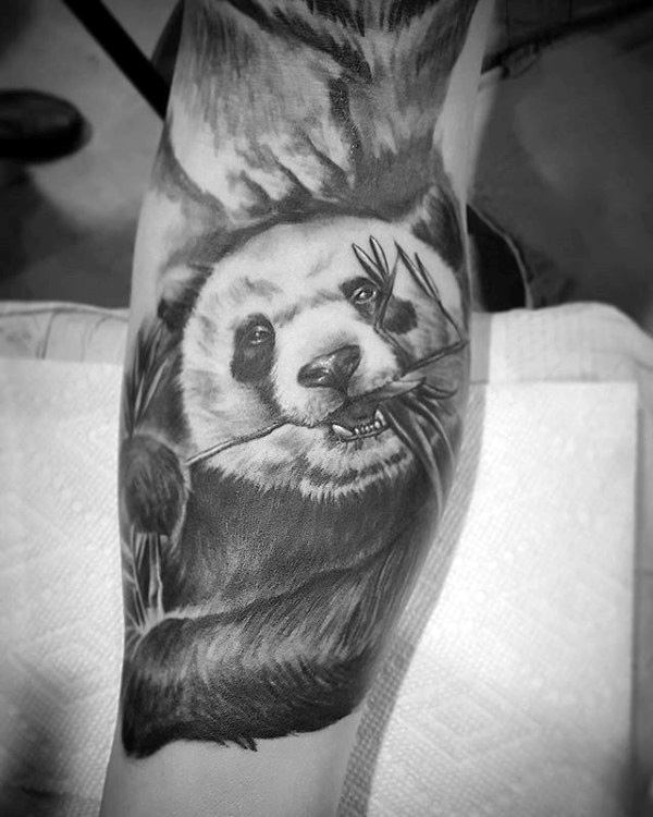 100 Panda Bär Tattoo Designs für Männer - Manly Ink Ideen  