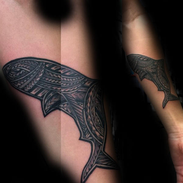 50 Tribal Shark Tattoo-Designs für Männer - Sea-Dweller-Tinte Ideen  