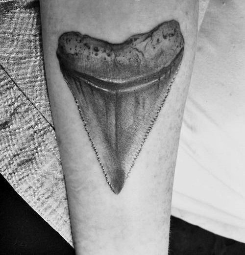 40 Shark Tooth Tattoo-Designs für Männer - König der Wasser  