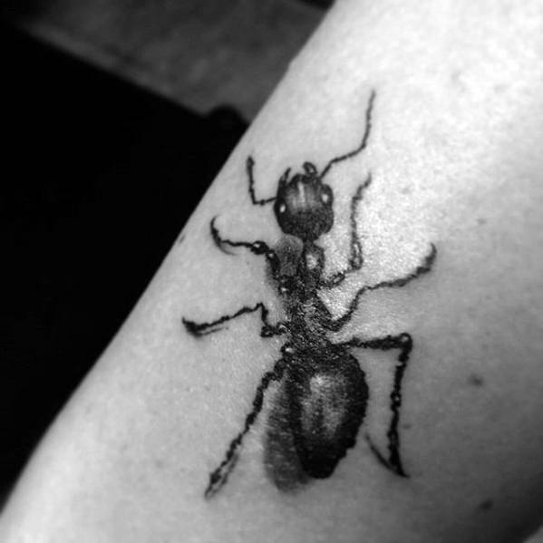 50 Ant Tattoo Designs für Männer - Insektentinte Ideen  