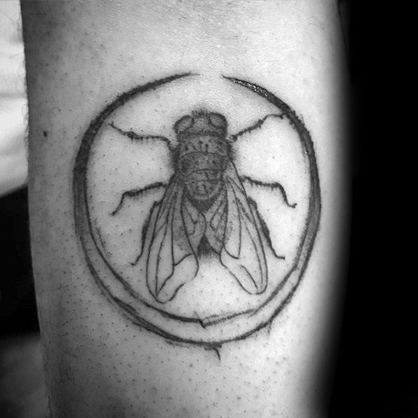50 Fly Tattoo Designs für Männer - Insektentinte Ideen  