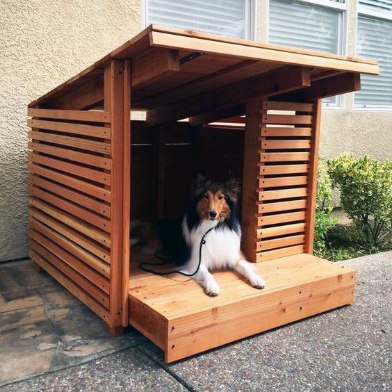 Top 50 Best Cool Dog Houses - Pads für den besten Freund des Mannes  