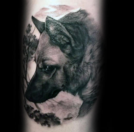 30 Deutscher Schäferhund Tattoo Designs für Männer - Hund Tinte Ideen  