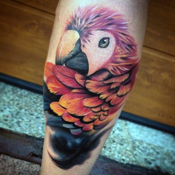 60 Papagei Tattoo Designs für Männer - Mimicry Ink Ideen  
