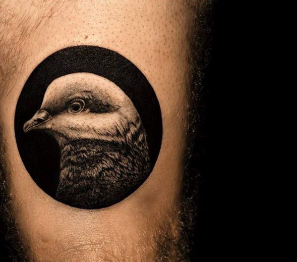 50 Tauben-Tätowierungs-Entwürfe für Männer - Vogel-Tinten-Ideen  