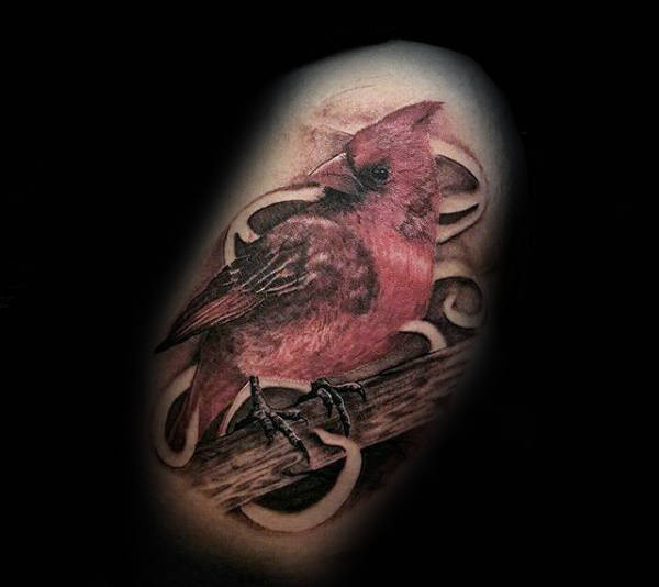 60 Cardinal Tattoo Designs für Männer - Vogel-Tinten-Ideen  