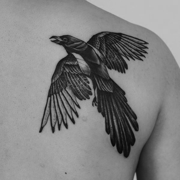 50 Elster Tattoo Designs für Männer - Vogel-Tinte-Ideen  